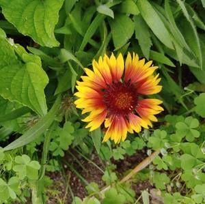 Meet your Posher, Daryl